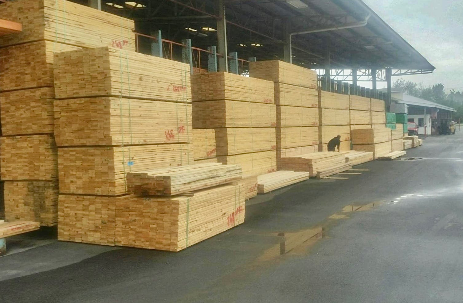 LUMBER STOCK (8)